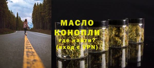 тгк Володарск