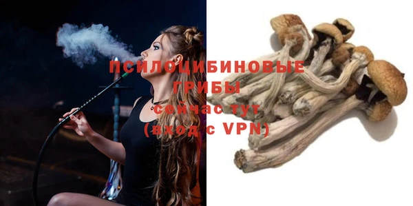 тгк Володарск