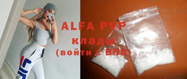 сатива Вяземский
