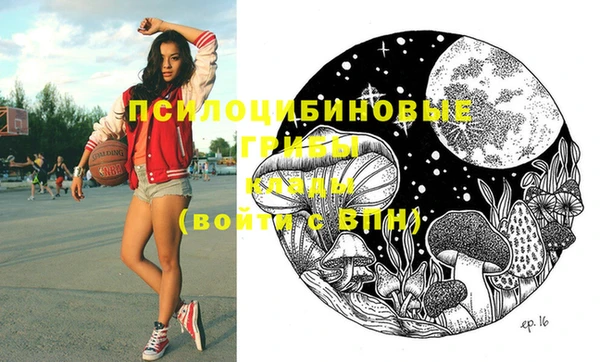 тгк Володарск