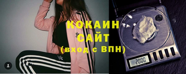 сатива Вяземский