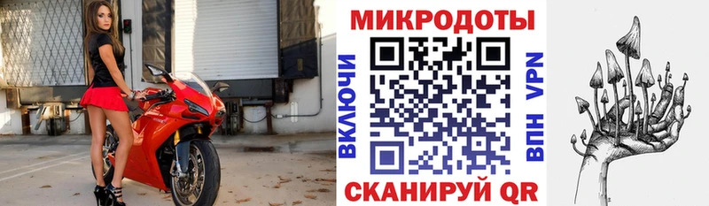 Галлюциногенные грибы прущие грибы  Купить  Канаш 